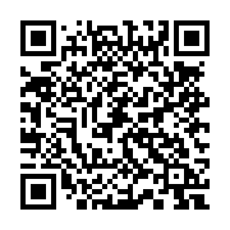 QR code for 335LSC