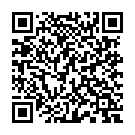 QR code for 335MFL