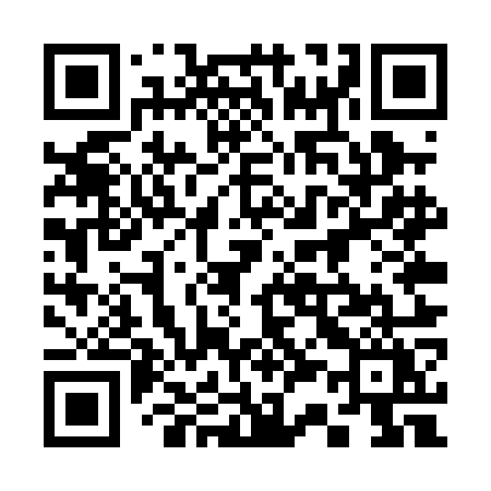 QR code for 335POY