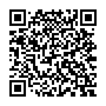 QR code for 335PSY