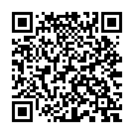 QR code for 335RSG