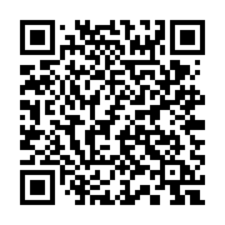QR code for 335VAA