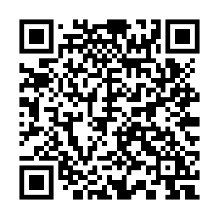 QR code for 335ZRY