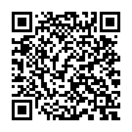 QR code for 336DSV