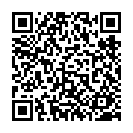 QR code for 336FKO
