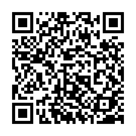 QR code for 336HPI