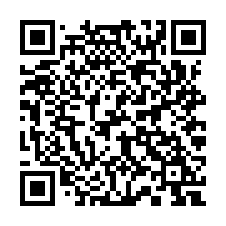 QR code for 336IRM