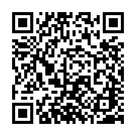 QR code for 336MNC