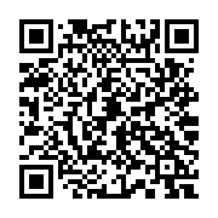 QR code for 336UPG