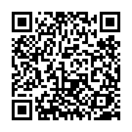 QR code for 338DOK