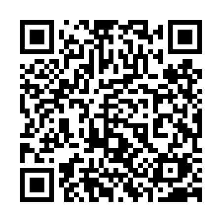 QR code for 338DSM