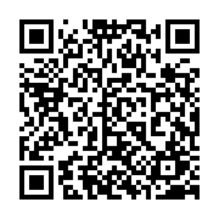QR code for 338IRT