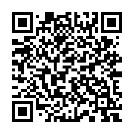 QR code for 338VIN