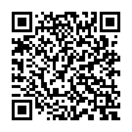 QR code for 339AMX