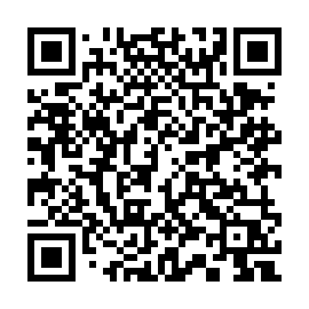 QR code for 339DMP