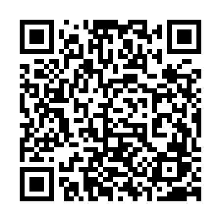 QR code for 339IVR