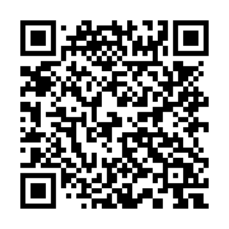 QR code for 339NTT