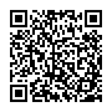 QR code for 339PLM