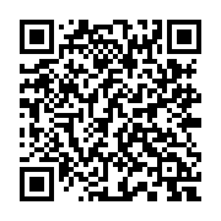 QR code for 339XED