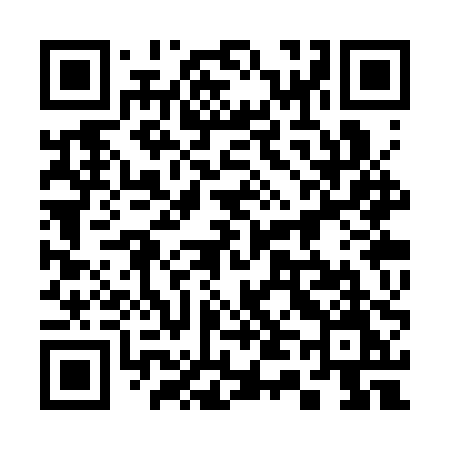 QR code for 343SPM