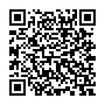 QR code for 368PMS