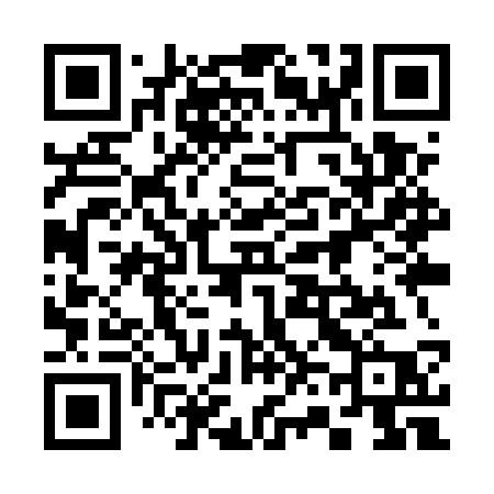 QR code for 369USP