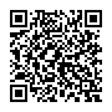 QR code for 371EIS