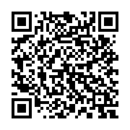 QR code for 375FPX