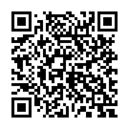 QR code for 375HYG