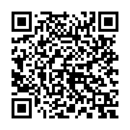 QR code for 375MSP