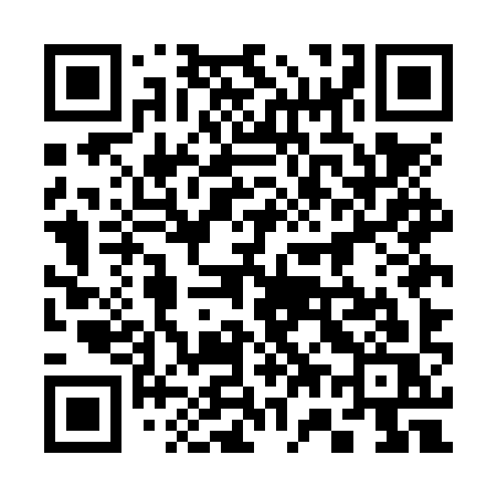 QR code for 375NYS