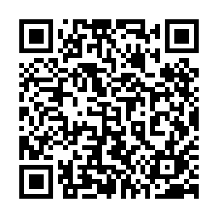 QR code for 377PAL