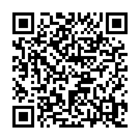 QR code for 379LBL