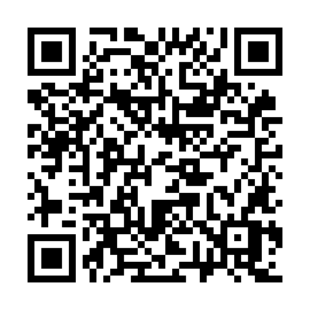 QR code for 379OLV