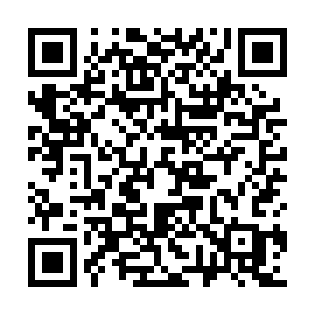 QR code for 379PCC
