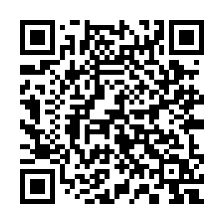 QR code for 379PIT