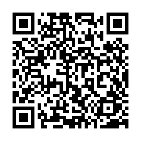 QR code for 379PZR