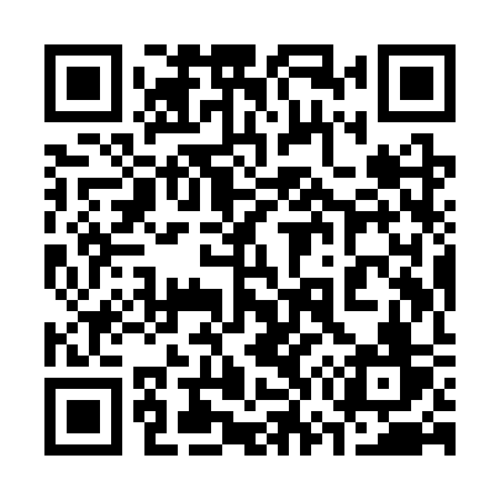 QR code for 379SSV