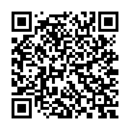 QR code for 380ZNG