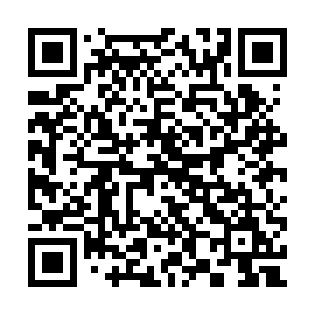 QR code for 381BUM