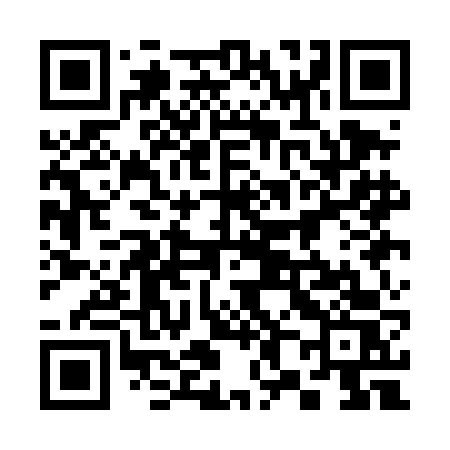 QR code for 381DFS