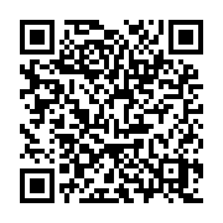 QR code for 381ICX