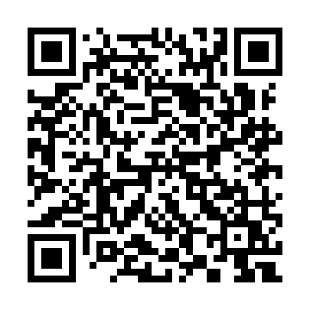 QR code for 381IMU