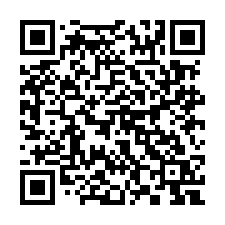 QR code for 381MCS