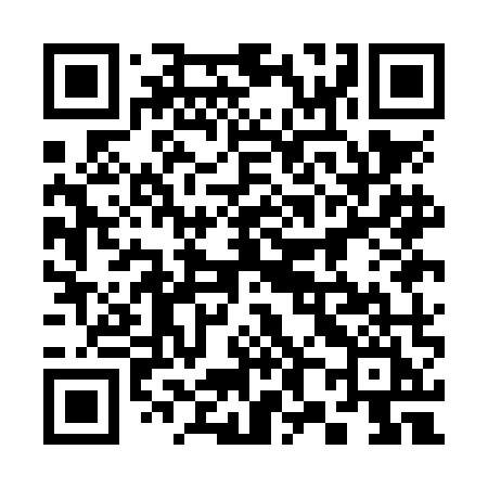 QR code for 381NMI