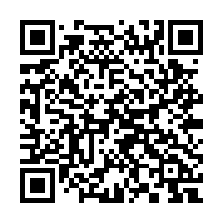 QR code for 381PTD