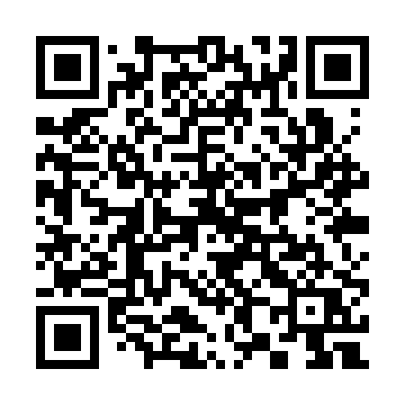 QR code for 381SPQ