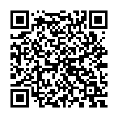 QR code for 381SYL