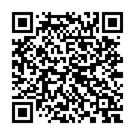 QR code for 381TPT