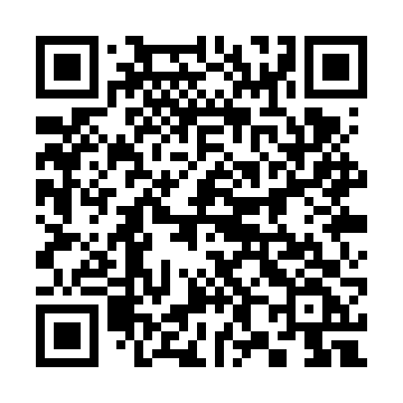 QR code for 381VVF